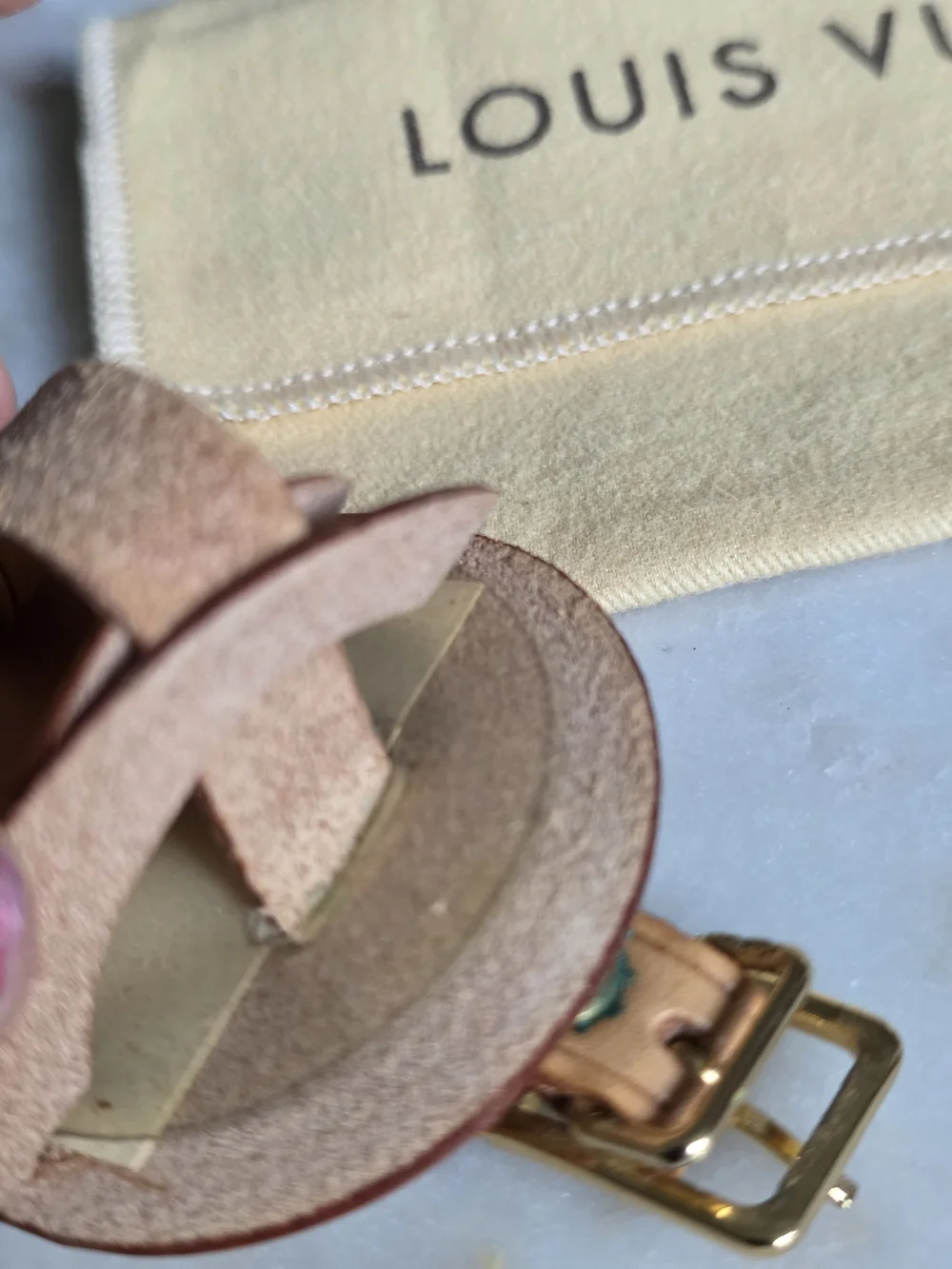 Louis Vuitton authentic louis